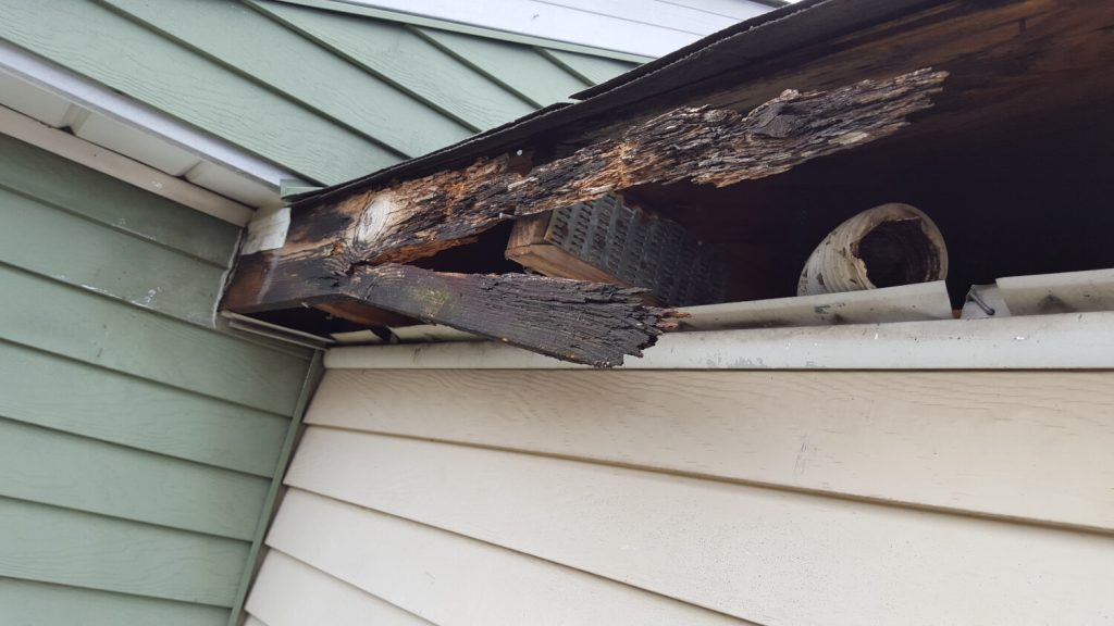 10 Bad Habits That Can Cost Homeowners In The Long Run