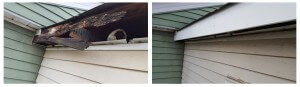 before and after blank eaves replaced